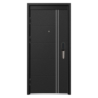 Modern Apartment Black Steel Security Door 