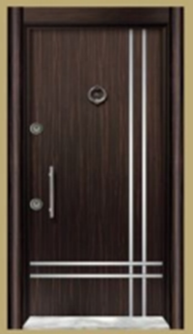 High Quality New Design Apartment Turkey Stylish Steel Armored Door 
